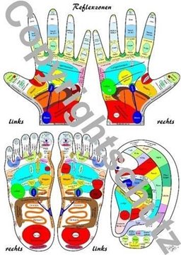 Bild von Aeckersberg, Tanja: Reflexzonenübersicht - Füße, Hände und Ohr