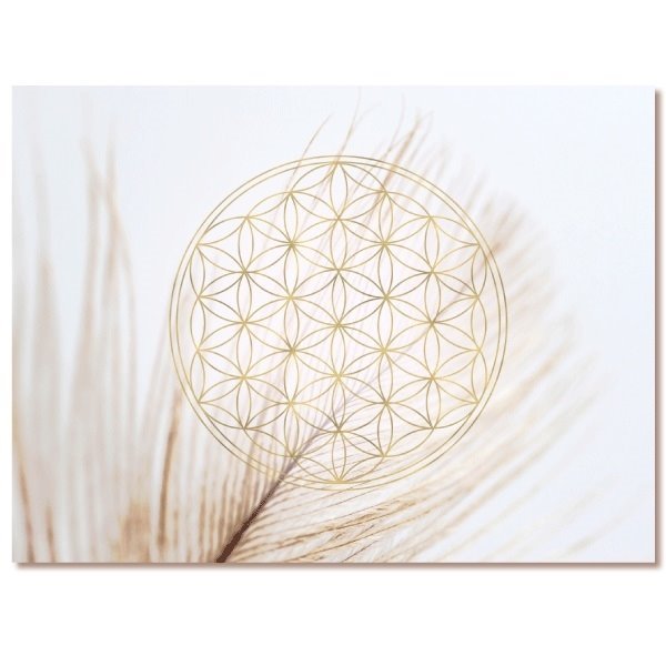 Bild von Leinwandbild Feder mit Blume des Lebens, 65 × 45 cm
