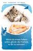 Bild von Das Katzenorakel - Die Botschaften deiner Katze