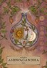 Bild von Ayales, Adriana: Herbal Astrology Orakel: 55 Karten mit Botschaften und Anleitungen