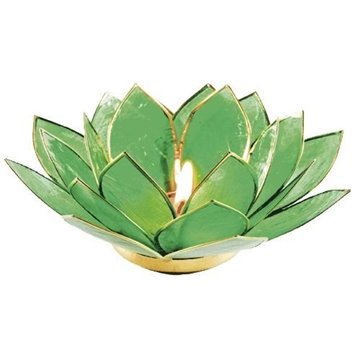 Bild von Lotus-Kerzenhalter in Grün