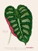 Bild von Fawcett, Benjamin: Blattwerk - Botanische Illustrationen Kalender 2025