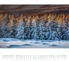 Bild von Ackermann Kunstverlag: Wald Kalender 2025
