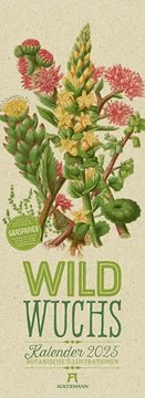 Bild von Pratt, Anne: Wildwuchs - Botanische Illustrationen - Graspapier-Kalender 2025