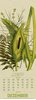 Bild von Pratt, Anne: Wildwuchs - Botanische Illustrationen - Graspapier-Kalender 2025