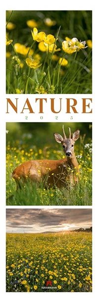 Bild von Ackermann Kunstverlag: Nature Triplet-Kalender 2025