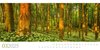 Bild von Ackermann Kunstverlag: Wilde Wälder Kalender 2025