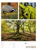 Bild von Ackermann Kunstverlag: Farben der Natur - Wochenplaner Kalender 2025