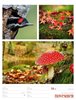 Bild von Ackermann Kunstverlag: Farben der Natur - Wochenplaner Kalender 2025