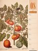 Bild von Ackermann Kunstverlag: Culinarium - Küche, Kräuter, Kurioses - Vintage Wochenplaner Kalender 2025