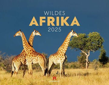 Bild von Ackermann Kunstverlag: Wildes Afrika Kalender 2025