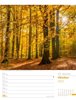 Bild von Ackermann Kunstverlag: Unser Wald - Wochenplaner Kalender 2025