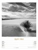 Bild von Ackermann Kunstverlag: Silent Nature - Schwarz-Weiß-Wochenplaner Kalender 2025