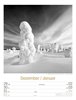 Bild von Ackermann Kunstverlag: Silent Nature - Schwarz-Weiß-Wochenplaner Kalender 2025