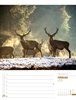 Bild von Ackermann Kunstverlag: Abenteuer Deutschland - Naturparadiese Wochenplaner Kalender 2025