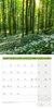 Bild von Ackermann Kunstverlag: Naturwunder Deutschland Kalender 2025 - 30x30