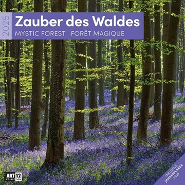 Bild von Ackermann Kunstverlag: Zauber des Waldes Kalender 2025 - 30x30