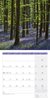 Bild von Ackermann Kunstverlag: Zauber des Waldes Kalender 2025 - 30x30