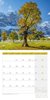 Bild von Ackermann Kunstverlag: Bäume Kalender 2025 - 30x30