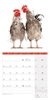 Bild von Ackermann Kunstverlag: Verrückte Hühner Kalender 2025 - 30x30