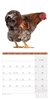 Bild von Ackermann Kunstverlag: Verrückte Hühner Kalender 2025 - 30x30
