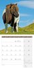 Bild von Ackermann Kunstverlag: Pferde Kalender 2025 - 30x30