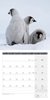 Bild von Ackermann Kunstverlag: Pinguine Kalender 2025 - 30x30