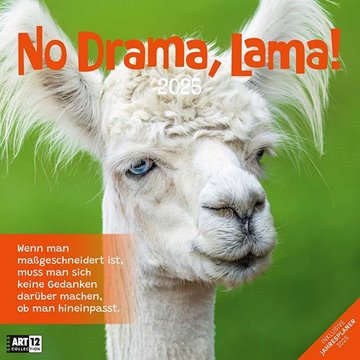 Bild von Ackermann Kunstverlag: No Drama, Lama! Kalender 2025 - 30x30