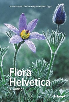 Bild von Lauber, Konrad: Flora Helvetica - Illustrierte Flora der Schweiz