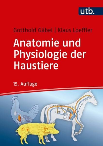 Bild von Gäbel, Gotthold: Anatomie und Physiologie der Haustiere
